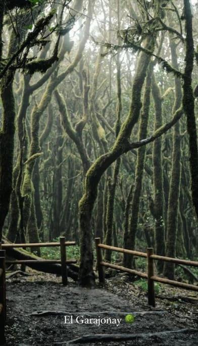 Apartamento Las Vistas ซานเซบาสเตียน เด ลาโกเมรา ภายนอก รูปภาพ